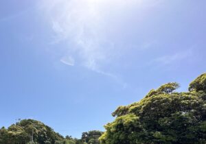 【夢日記】理想の家