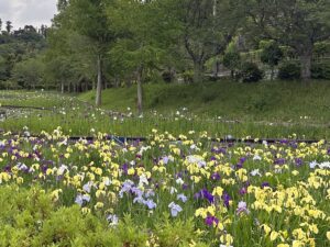 【夢日記】新天地・海の近くの街