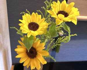 【夢日記】いつもの迷路校舎