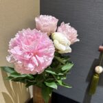 【夢日記】この歳で岡山大学に入った友達