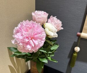 【夢日記】この歳で岡山大学に入った友達