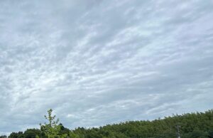 【夢日記】ちょうけづく？