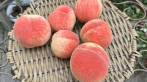 【夢日記】ブロガーT氏の駐車場