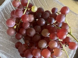 【夢日記】嫌われてると気がついてない同僚