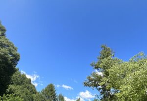 【夢日記】川沿いの道を羽生選手と歩く