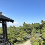 【夢日記】上島竜兵が志村けんを探す