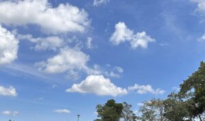 【夢日記】クロマティ犬