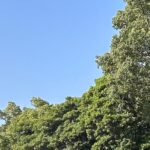 【夢日記】最上級の表現