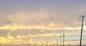 【夢日記】懐かしのお店と霜降り明星粗品