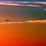 【夢日記】団地で焼死