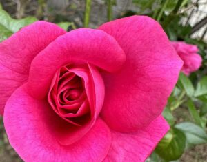 【夢日記】古道