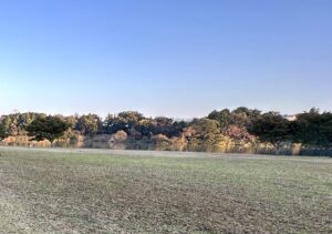 【夢日記】警察組織とブロガーN氏