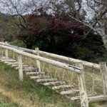 【夢日記】クライアントさんの自宅紹介