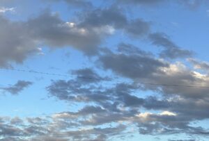 【夢日記】オービックに入社？