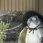 【夢日記】高い塔が崩れて被害
