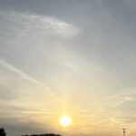 【夢日記】大後悔と反省の夢