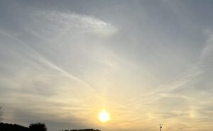 【夢日記】大後悔と反省の夢