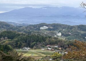 【夢日記】顧客無視でコスト削減
