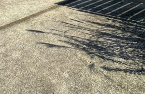 【夢日記】呪われた掃除機