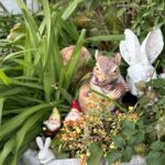 【夢日記】とにかく邪魔な安村