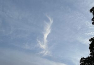 【夢日記】たくさん並んだ宇宙サンプル