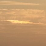 【夢日記】顔が眉間から割れた男