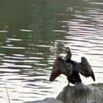 【夢日記】泥だらけの古民家