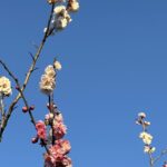【夢日記】地震体験会