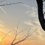 【夢日記】1月3月5月の集会