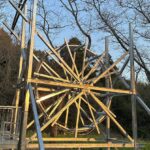 【夢日記】丹波哲郎の実験