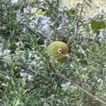 【夢日記】世界を操作する