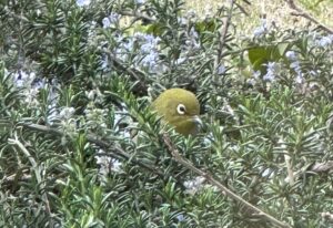 【夢日記】世界を操作する