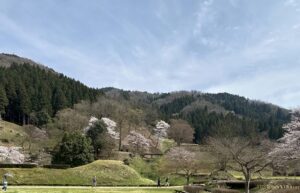 【夢日記】パスワードは使ってはならない