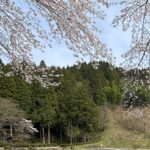 【夢日記】新たな身障者団体
