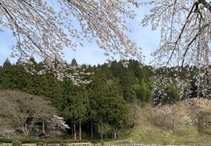 【夢日記】新たな身障者団体