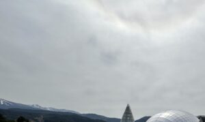 【夢日記】あのちゃん講演会と神道継承者の美容室