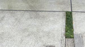 【夢日記】大学での講習の準備をする