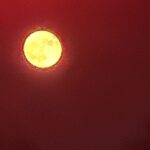 【夢日記】工場とネジとシステム設定