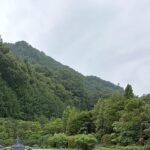 【夢日記】買い物と泥棒