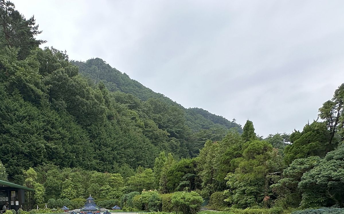 【夢日記】買い物と泥棒