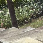 【夢日記】システム出力メッセージ