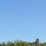 【夢日記】歩きにくそうなやす子