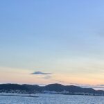 【夢日記】老舗の団子屋