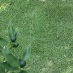 【夢日記】実家の棚と玄関扉が壊れた