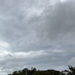 【夢日記】同窓会で寝ながらスピーチして絶賛