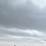 【夢日記】台車に乗せられて死にそうになった犬