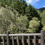 【夢日記】ホンダFITのEVに試乗する