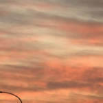 【夢日記】地殻変動と大地震で床がべこべこになる