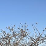 【夢日記】演劇コンテスト