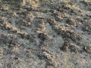 【夢日記】8月ショッピングモールで大地震